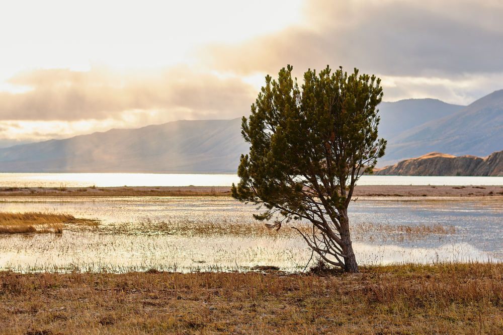 Photograph by Александр Мольков