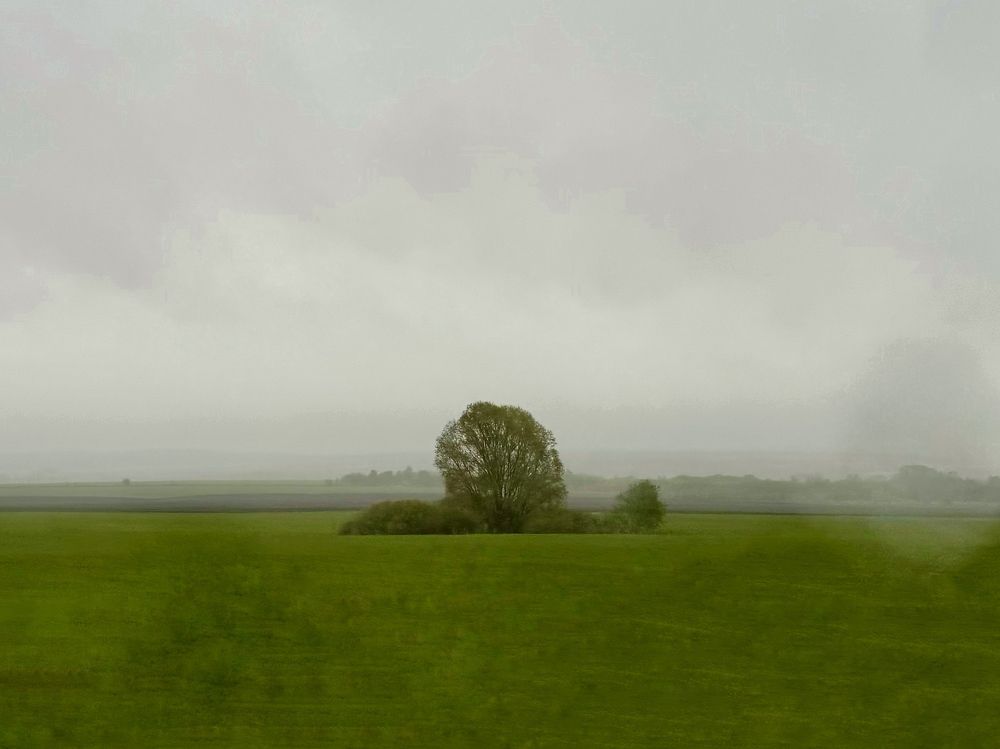 Фотография автора ГУЗАЛИЯ ГАНИЕВА