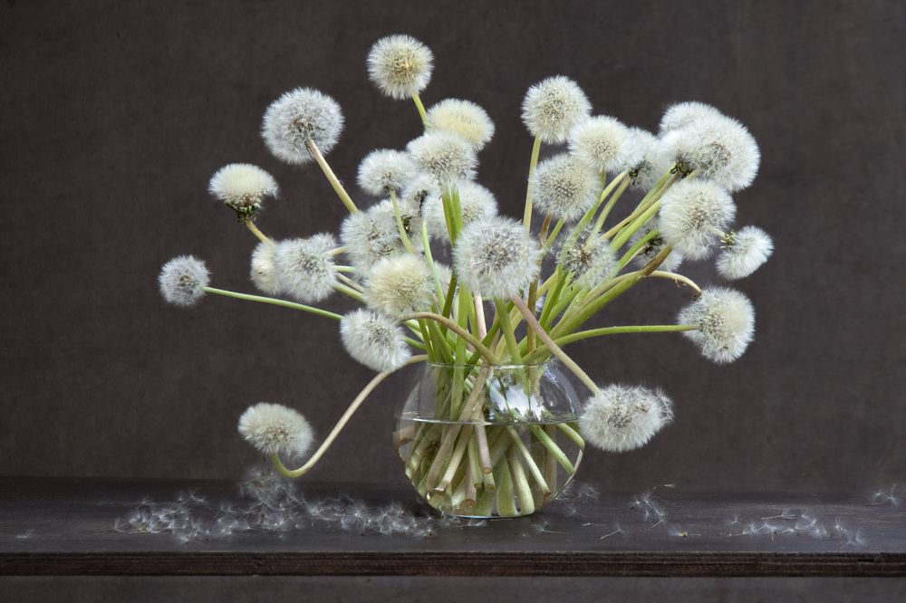 Photograph by Lyudmila Klimanova