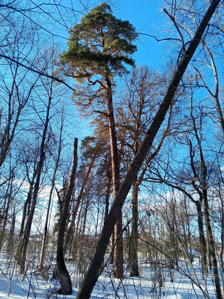 Photograph by Aleks Dem
