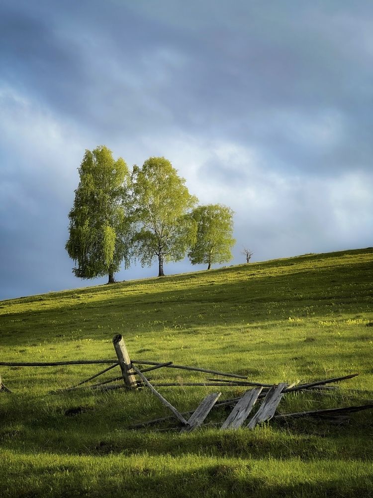 Фотография автора Дарья Кузнецова