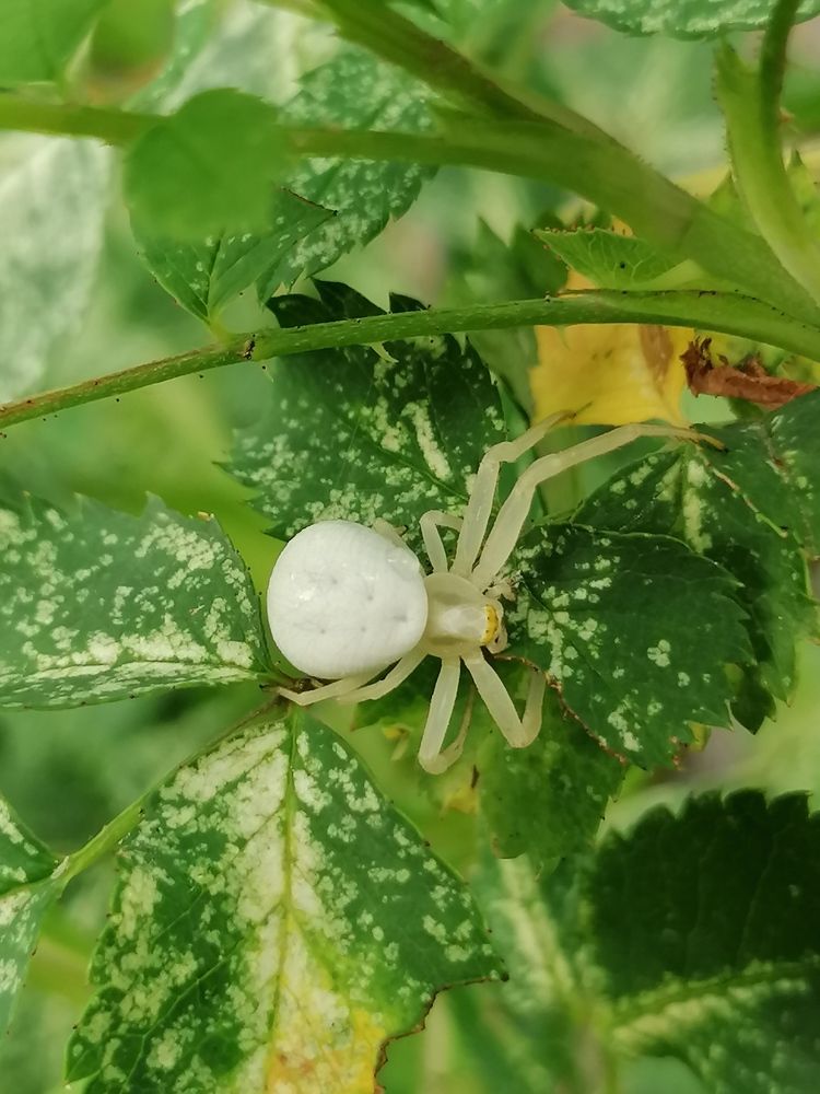 Photograph by Екатерина Супраненок