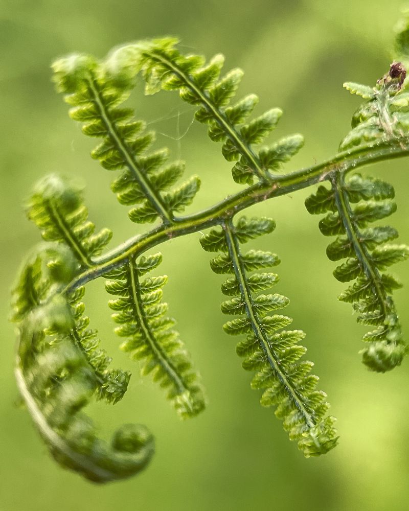 Photograph by Ольга Дорошенко