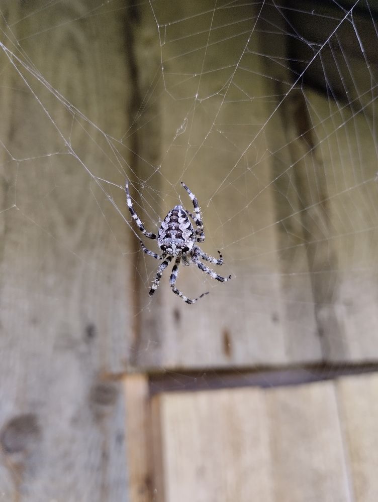 Photograph by Екатерина Супраненок