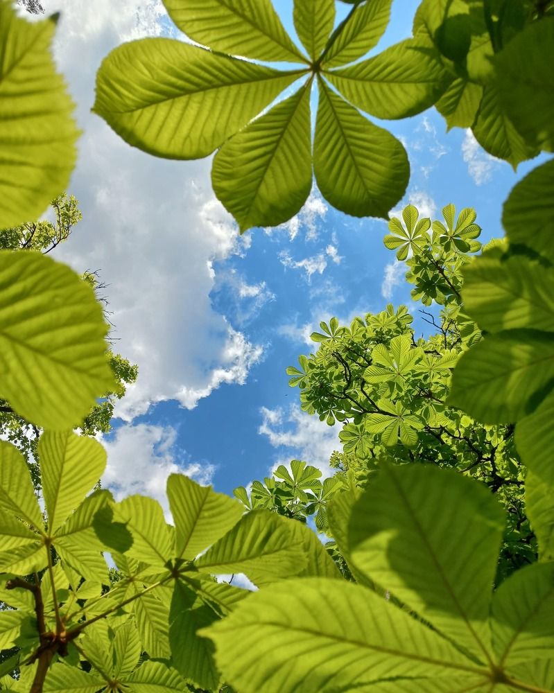 Photograph by Ирина Калюжная