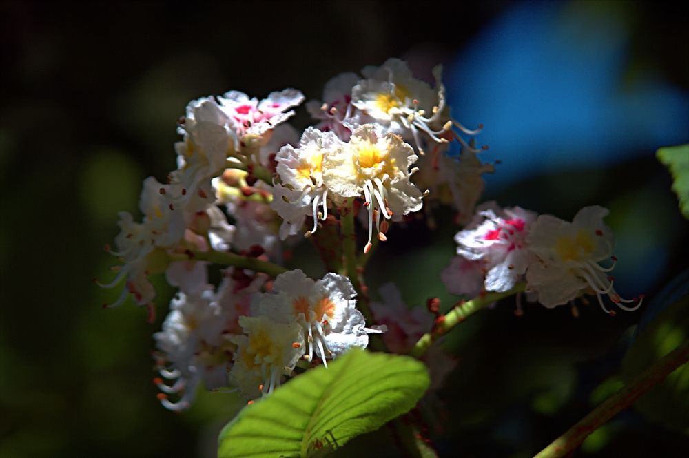 Photograph by Александр Макаренко