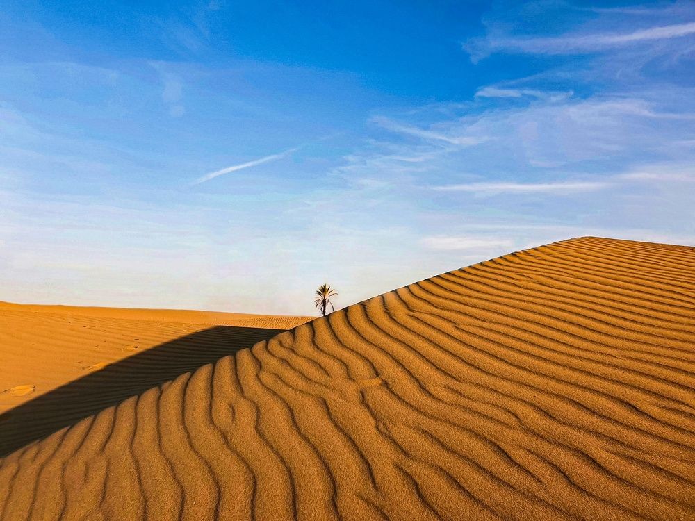 Photograph by Nastaran Pourreza