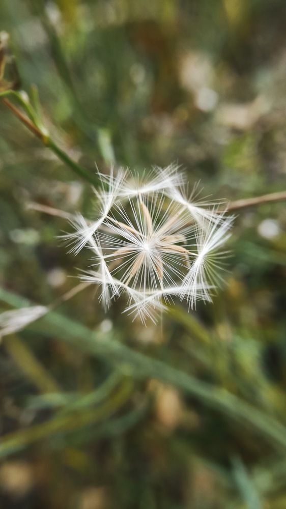 Фотография автора Анна Морозова