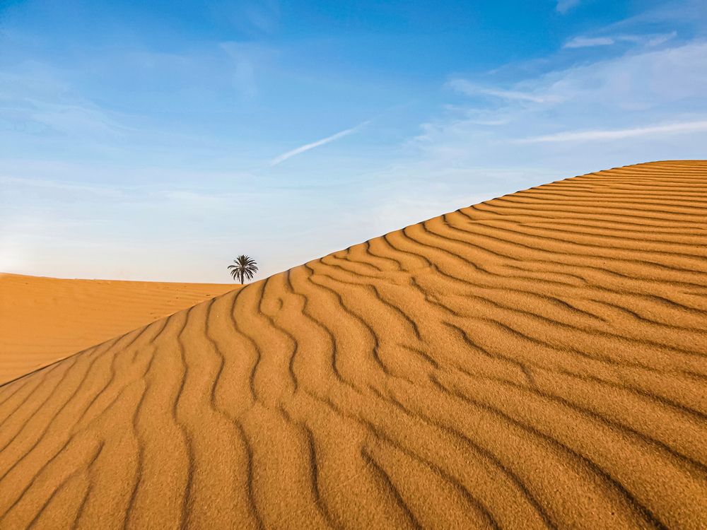 Photograph by Nastaran Pourreza