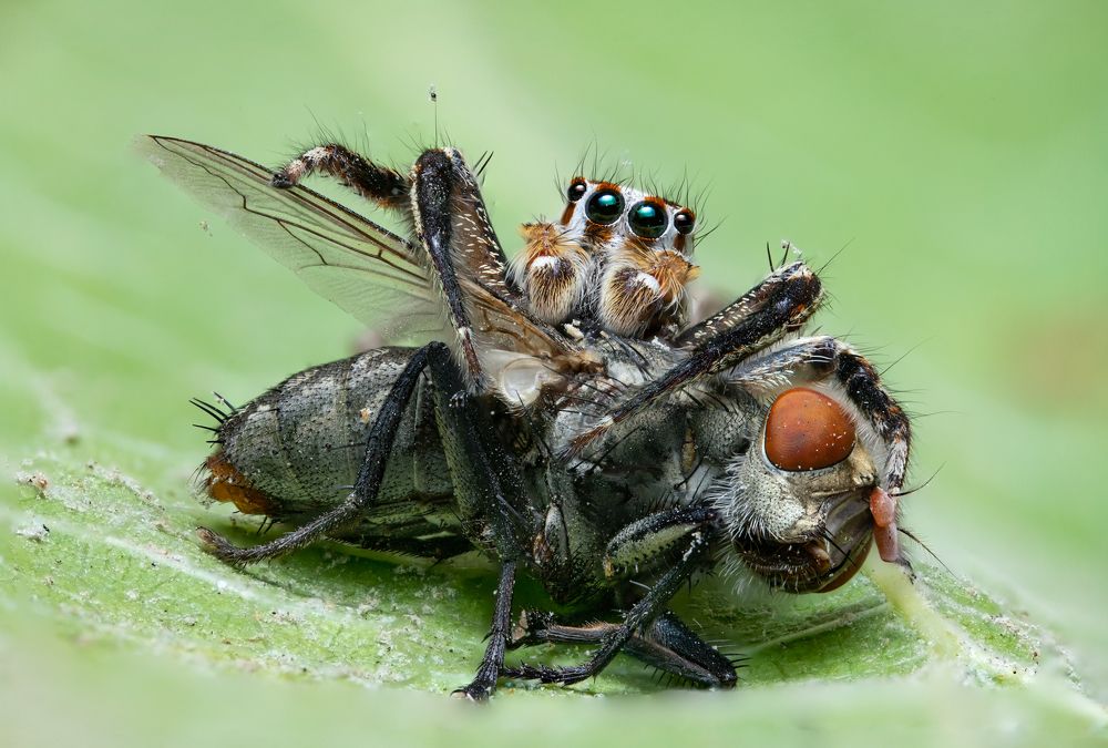 Photograph by Nastaran Pourreza