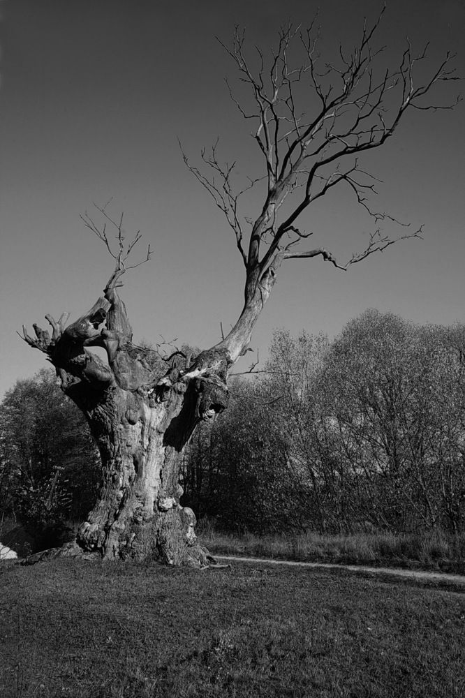 Photograph by Пётр Соколов