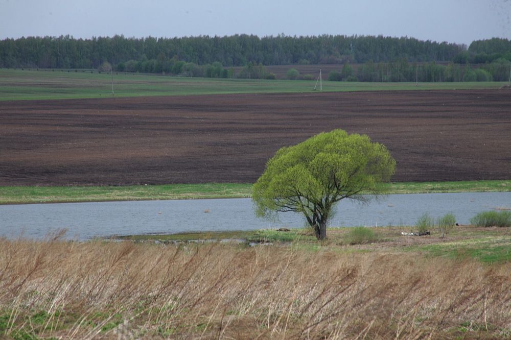 Photograph by Пётр Соколов