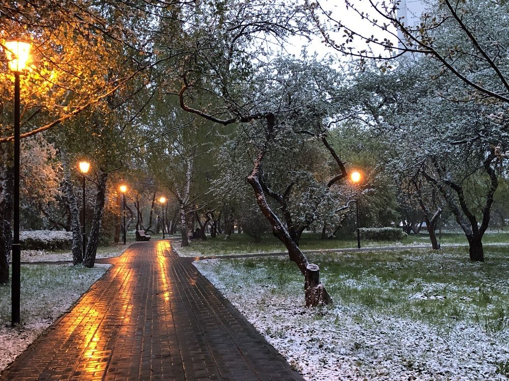 Photograph by Татьяна Новикова