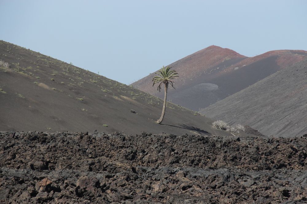 Photograph by Евгений Фисун