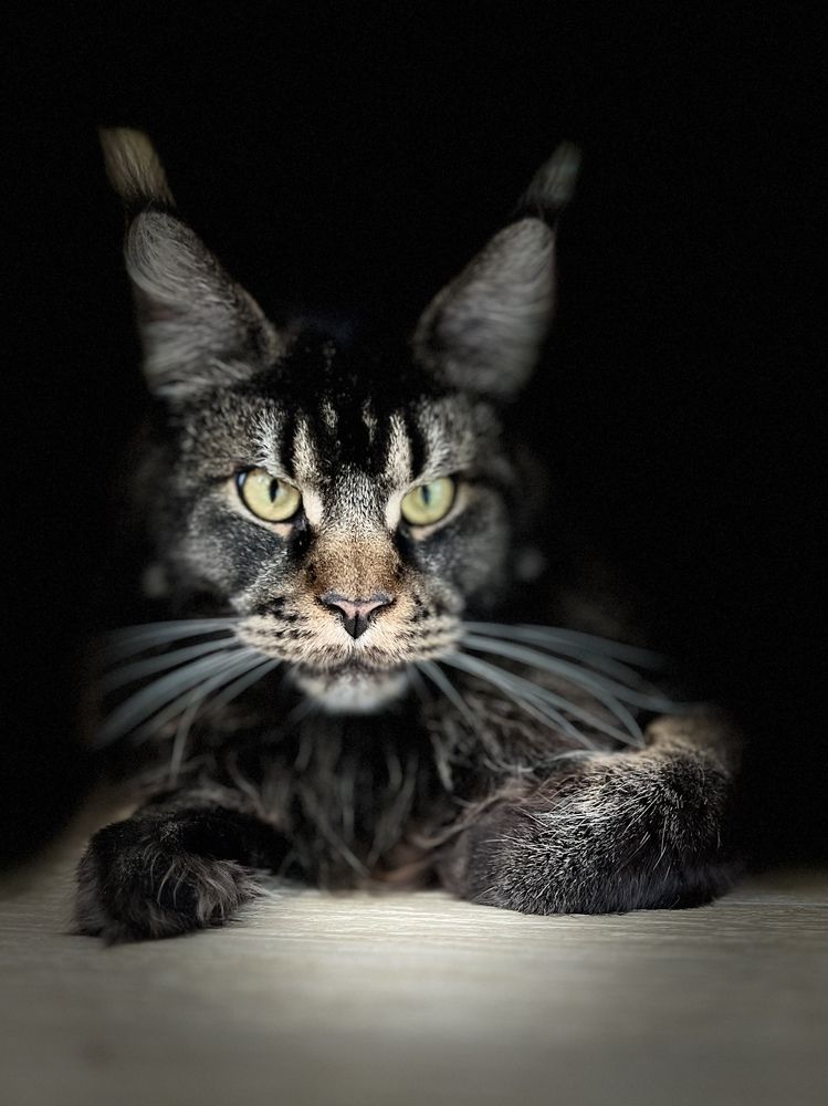 Photograph by Алена Жирова