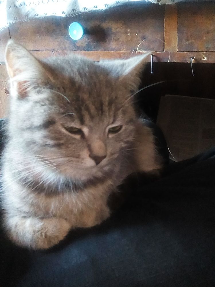 Photograph by Григорий Ветошкин