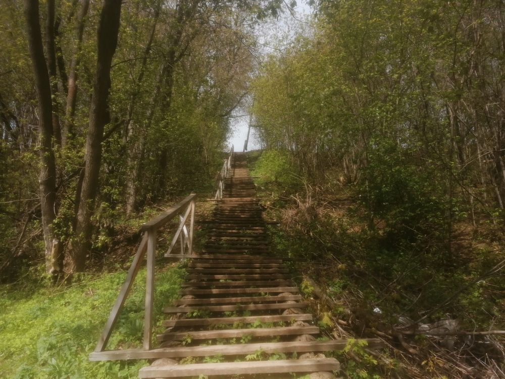 Photograph by Григорий Ветошкин