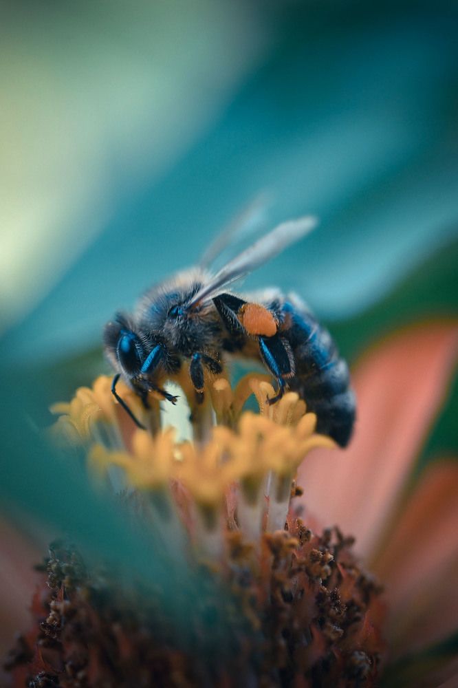 Photograph by Нели Арнаудова