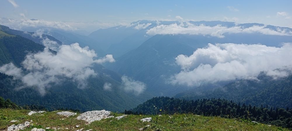 Photo #10654584