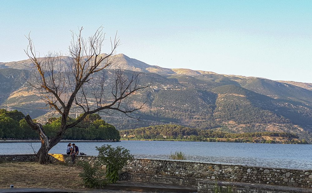 Photograph by Youssef Sabry