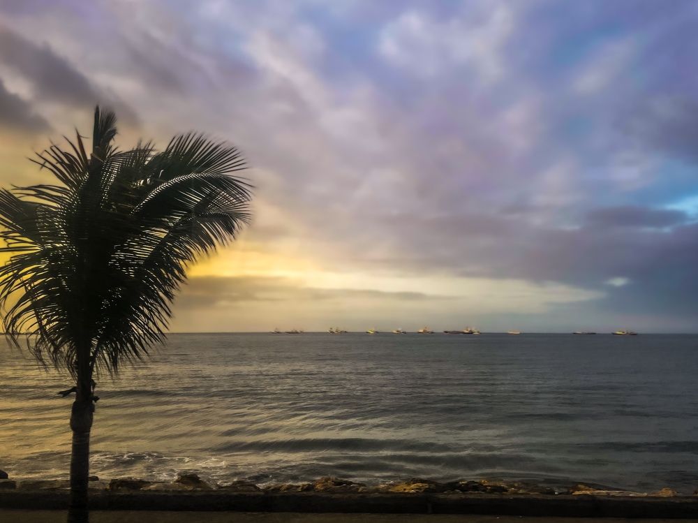 Photograph by Susie Castellano