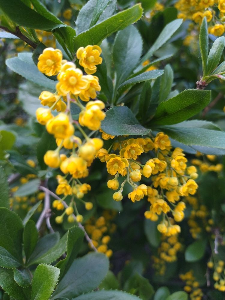 Photograph by Ирина Антонова