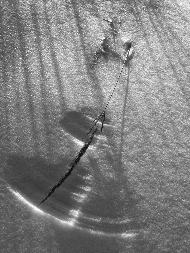 Photograph by Евгений Фисун