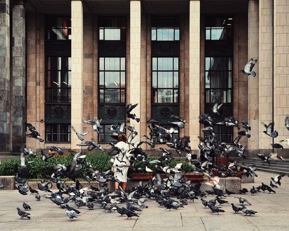 Photograph by Асад Ибадов