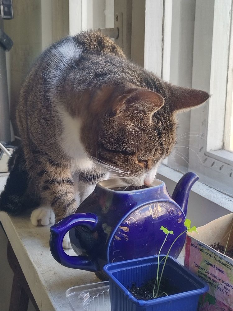 Photograph by Ирина Антонова