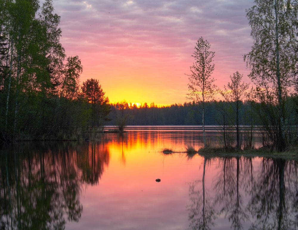 Photograph by Lev Kaufman