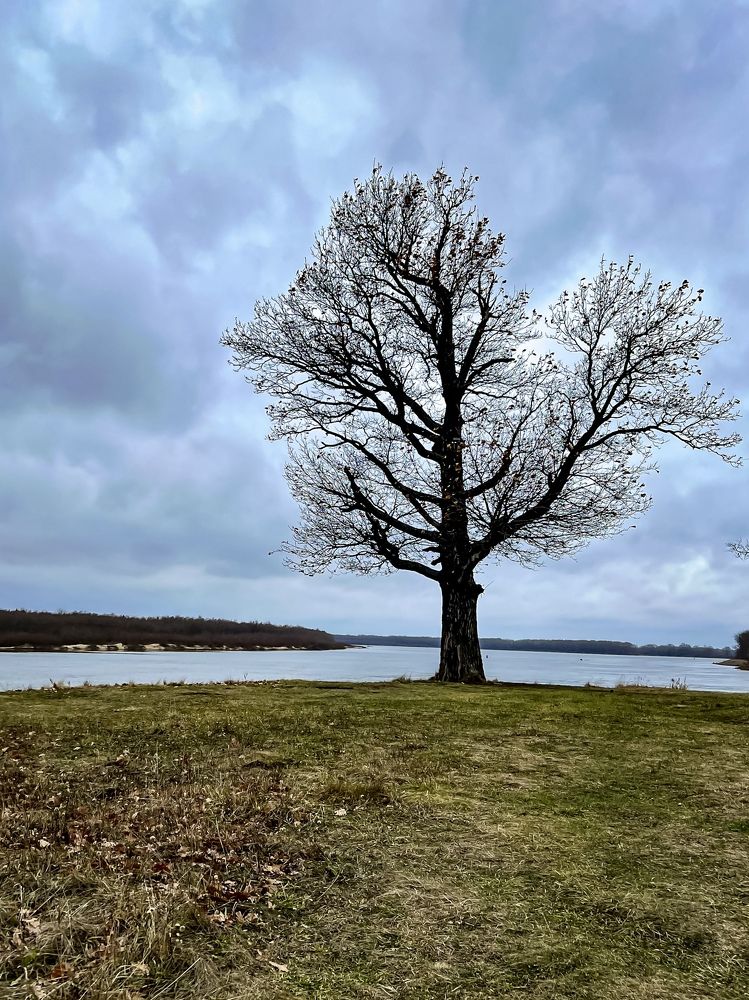 Photograph by Татьяна Зенина