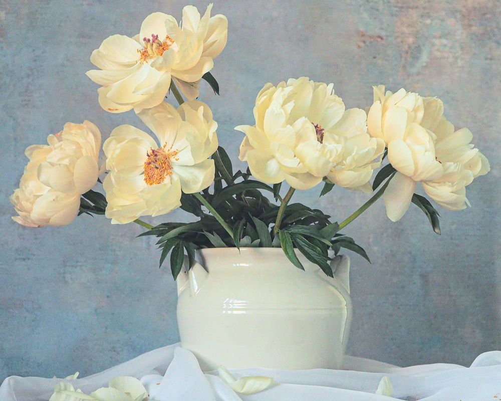 Photograph by Irina Ebral