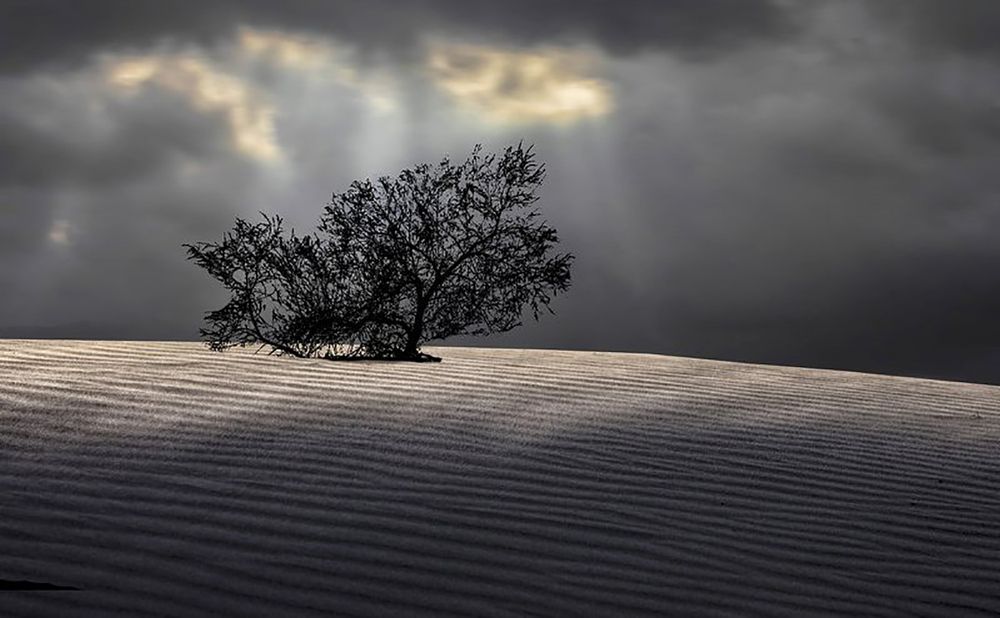 Photograph by Leonid Lan