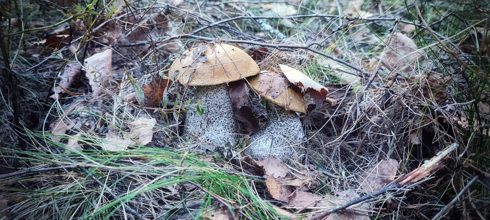 Фотография автора Юлия Кранина