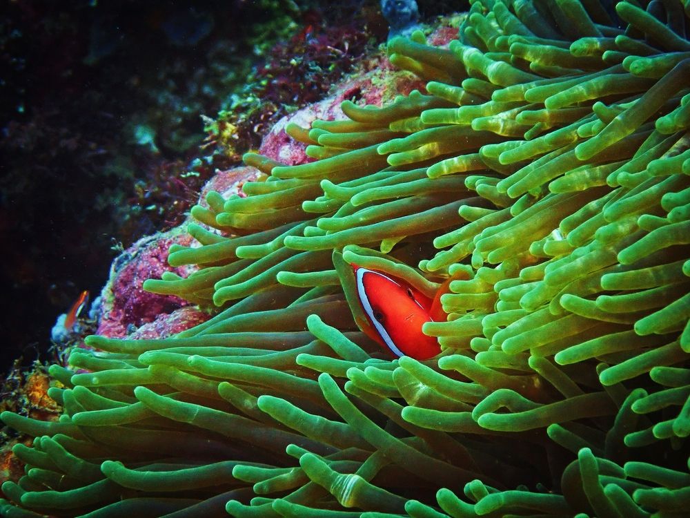 Photograph by Кирилл Леднев