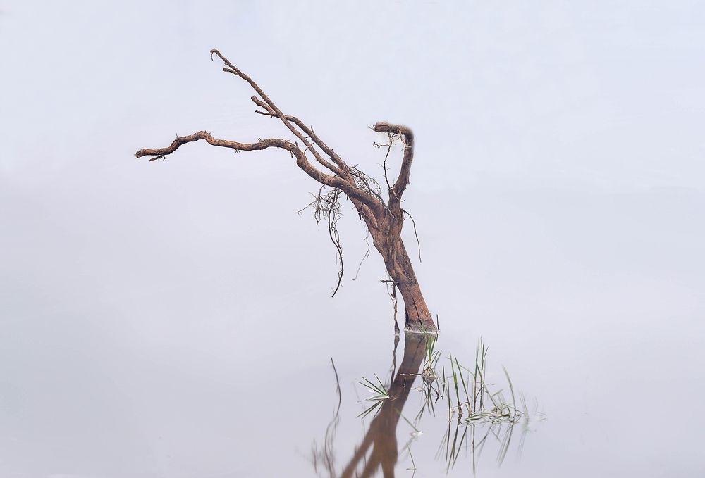 Фотография автора farshad shahani