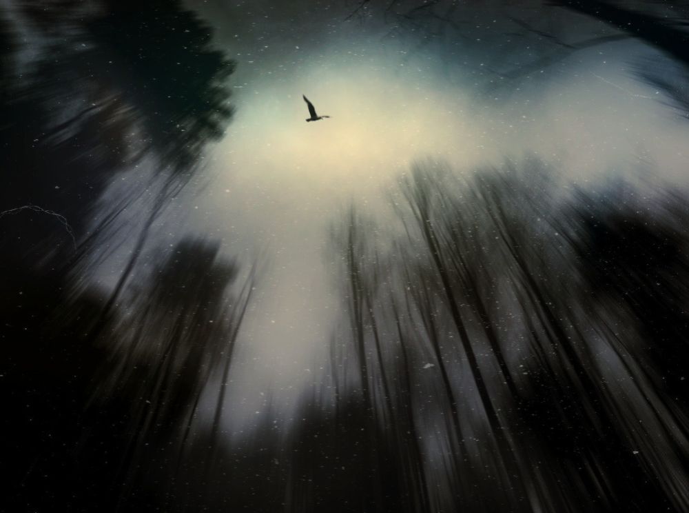 Photograph by Karim Bouchareb