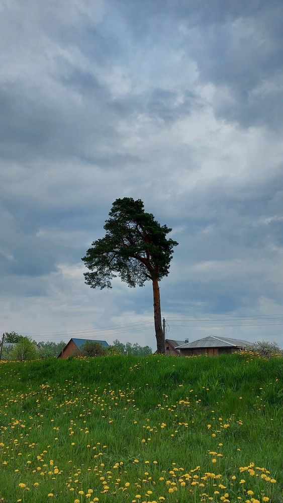 Photograph by ЭЛЬМИРА  ИСМАИЛОВА