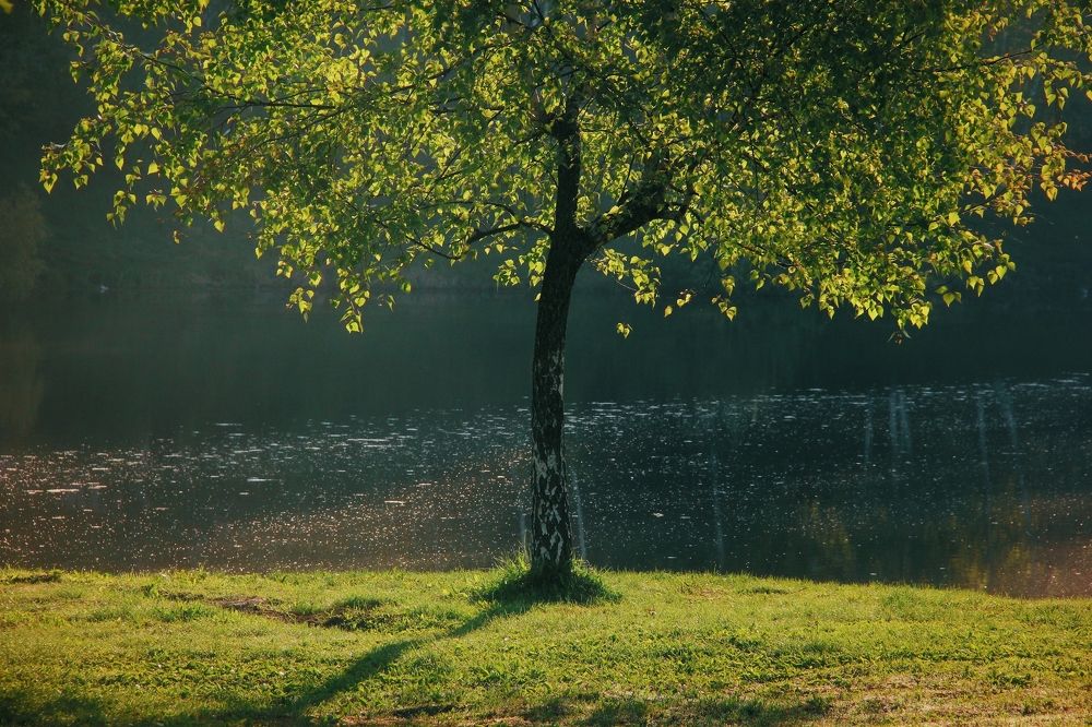 Photograph by Анна Любимова