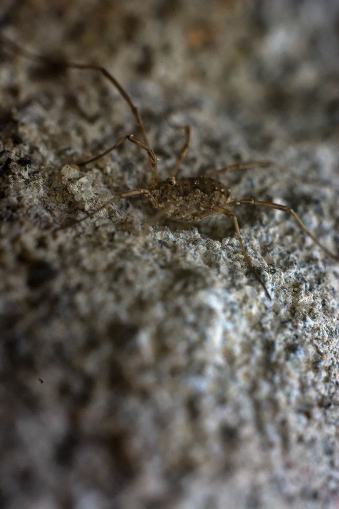 Photograph by Алексей Ильин