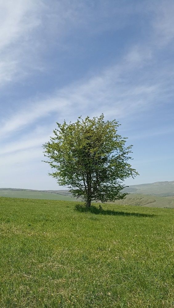Photograph by Олеся Филиппова