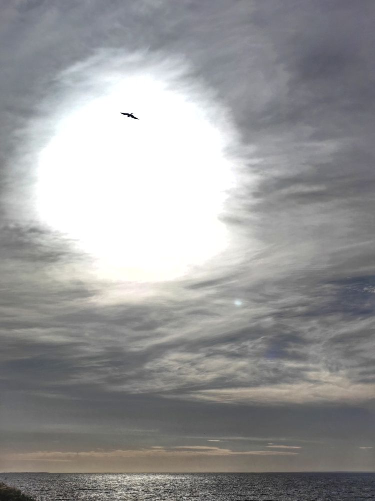 Photograph by Елена Пономарева