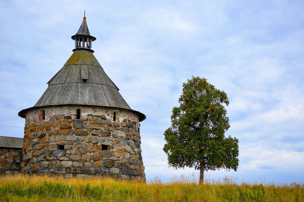 Photograph by Алексей Ильин