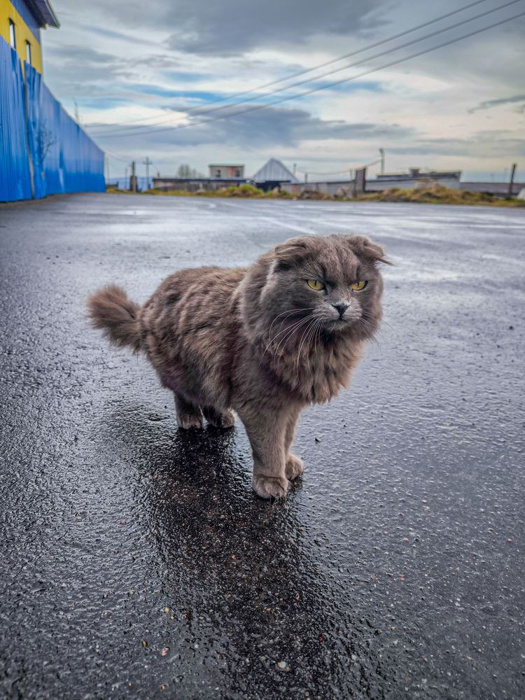 Photograph by Шейко Анна