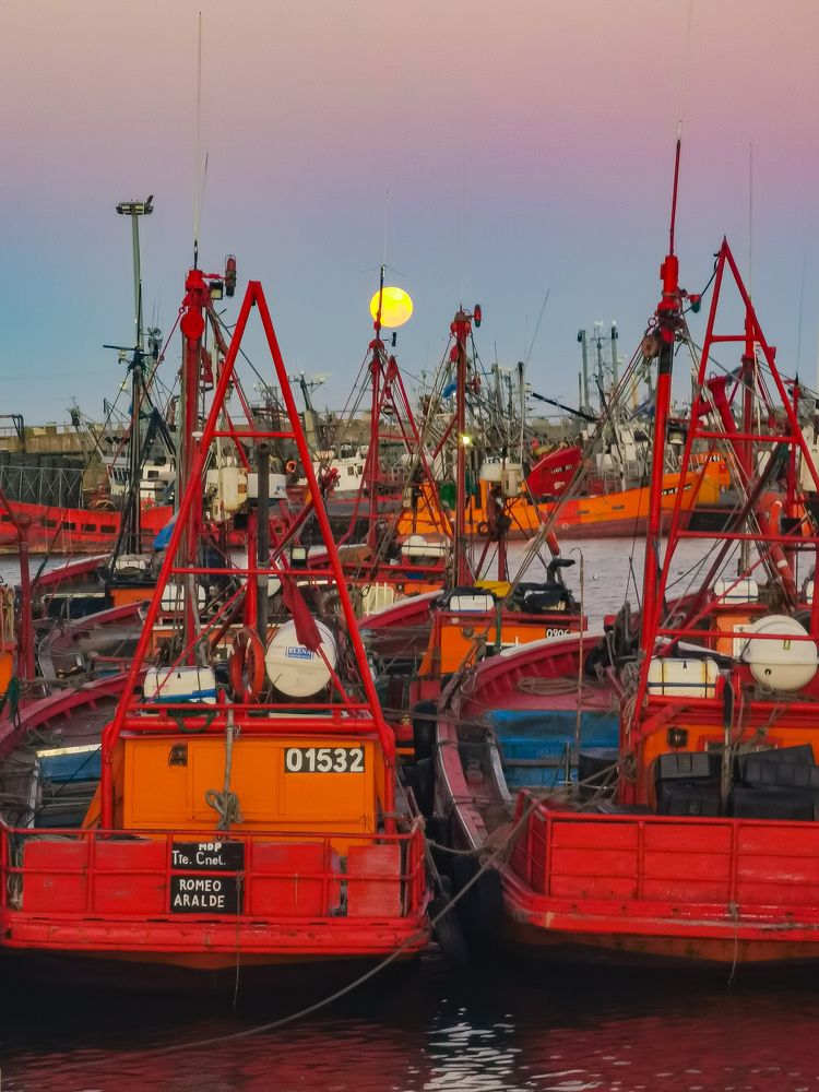 Fishing boats at sunset