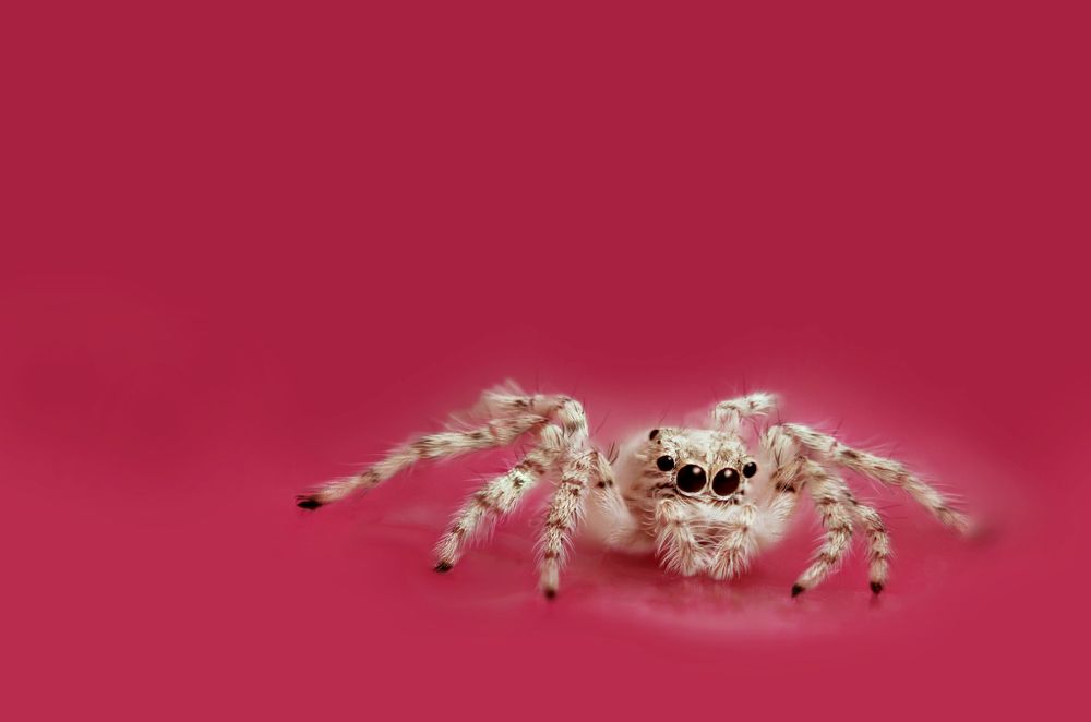 Photograph by Maryam Jassim