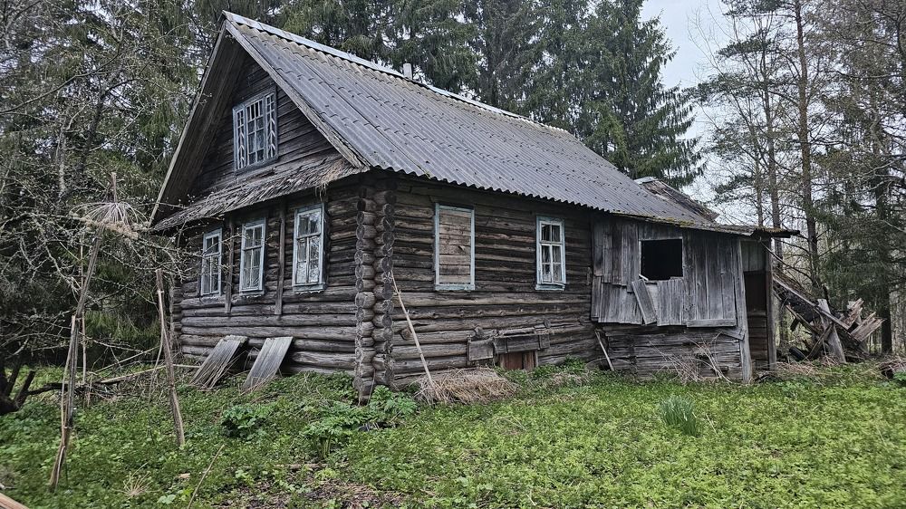 Photograph by Дмитрий Романов