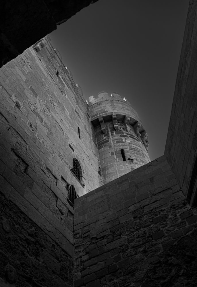 Фотография автора Rama Gheath