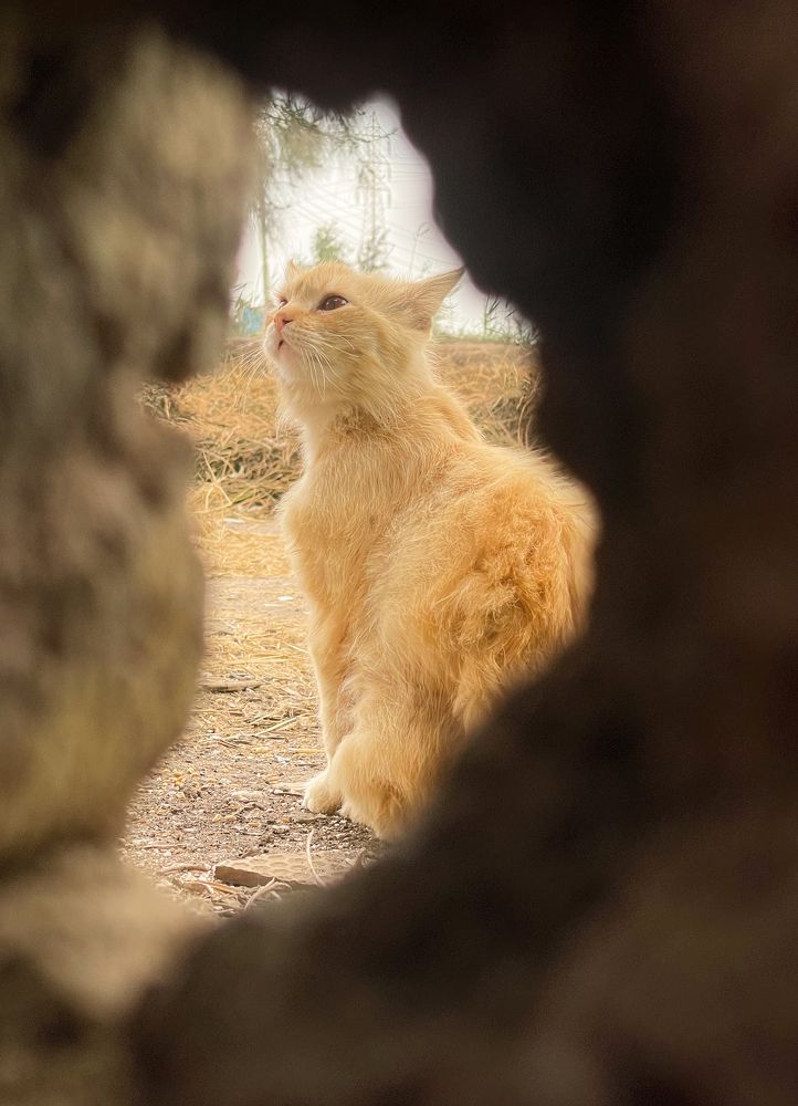 Photograph by Bassant Mohamed Salama