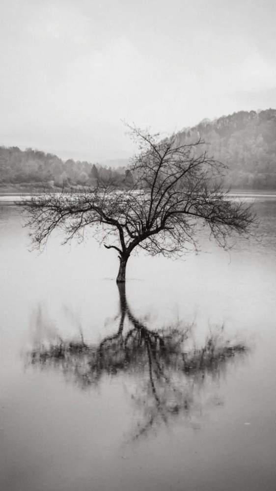 Photograph by Ксения Лаевская